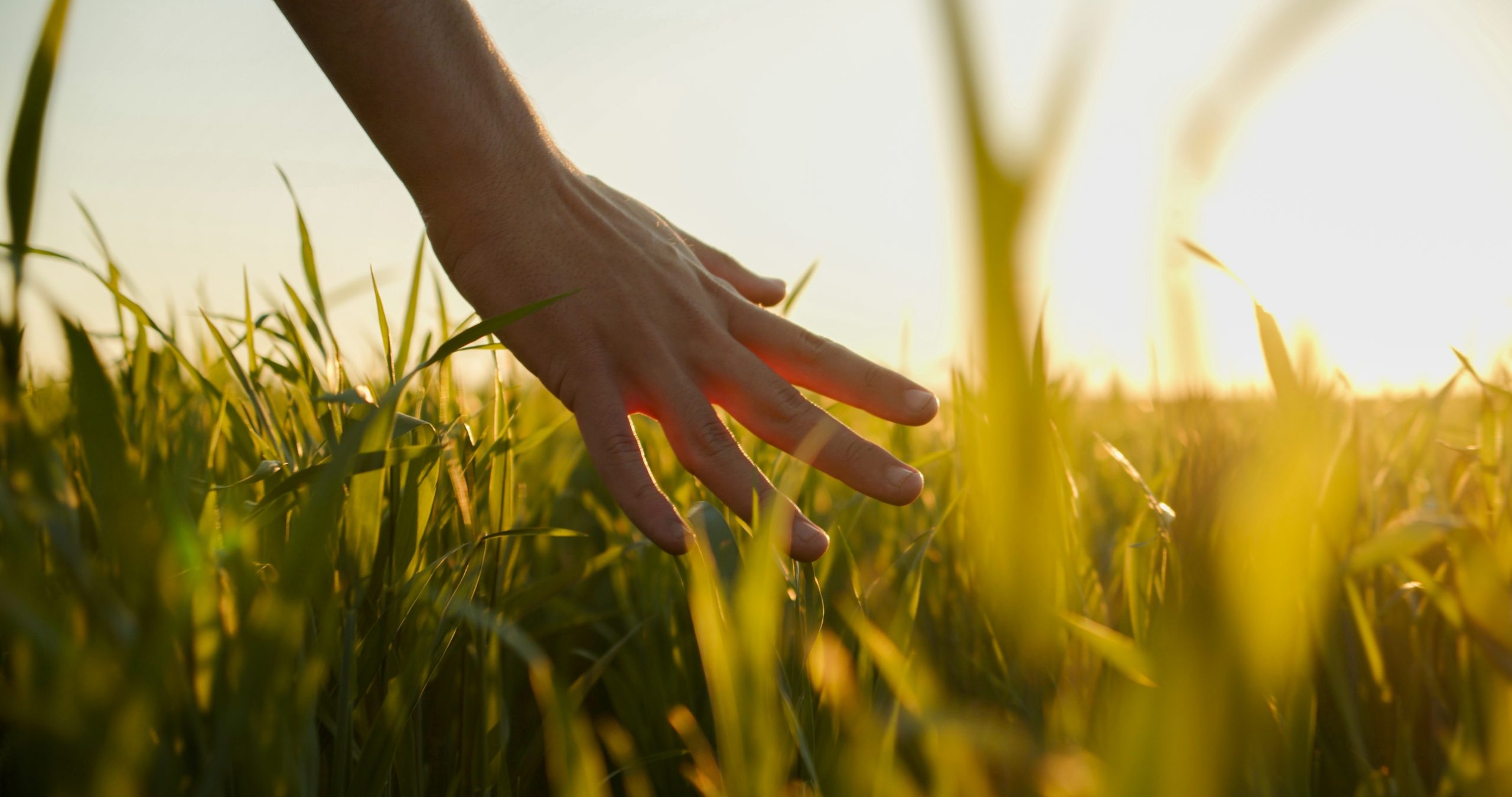 Come aiutare l'ambiente: Suggerimenti per le aziende