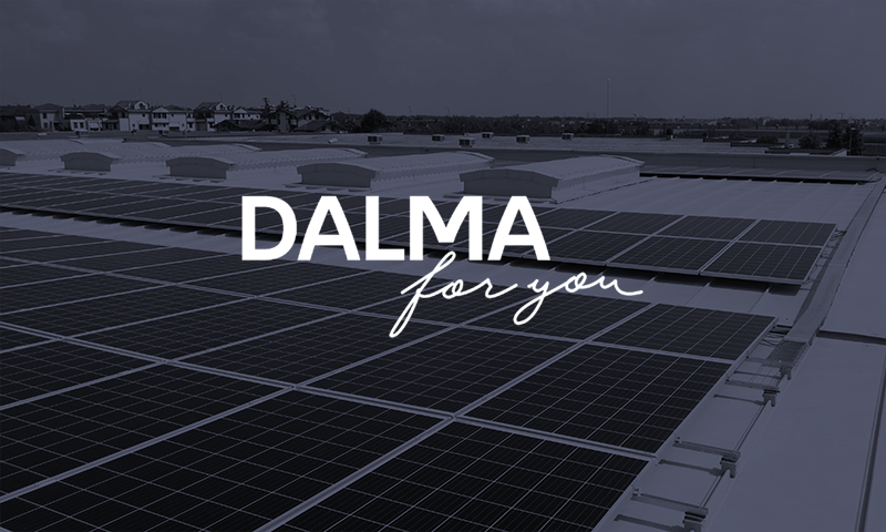 Dalma Srl