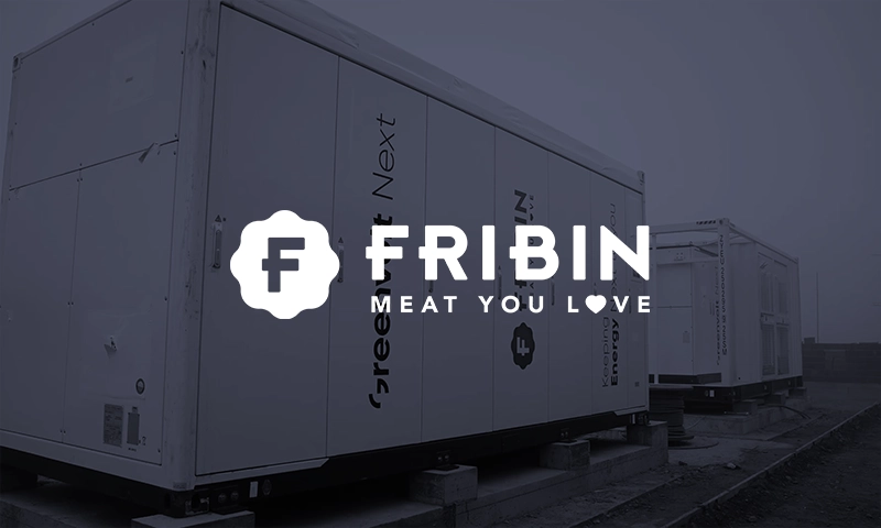 Fribin