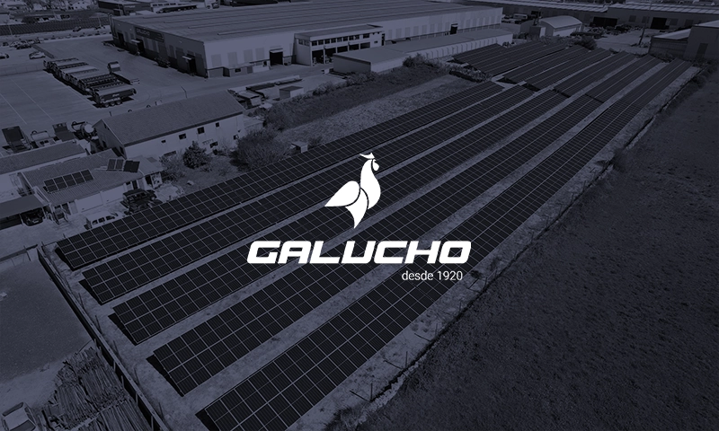 Galucho