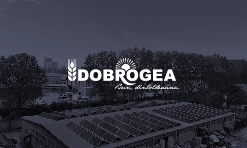Dobrogea Panificatie